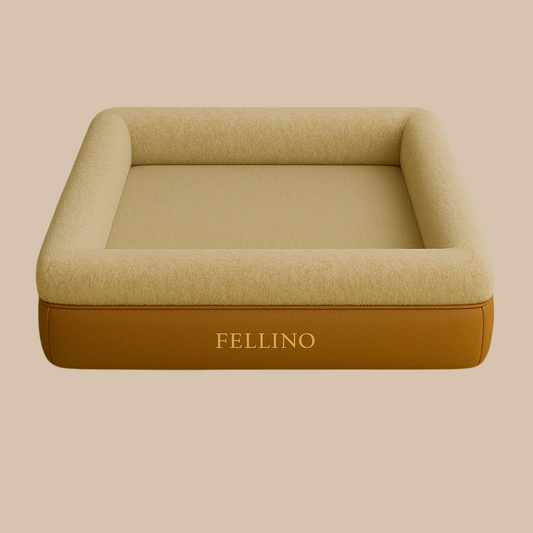 Fellino CloudNest